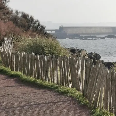Le Palais Des Dunes *